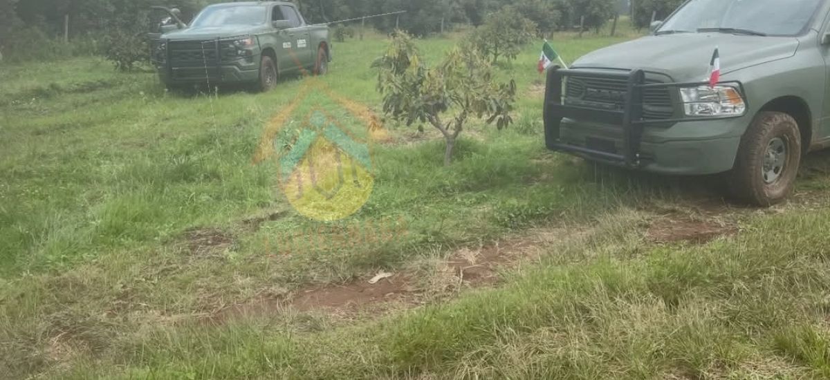 Luciernaga noticias | FGE actúa en Tacámba...