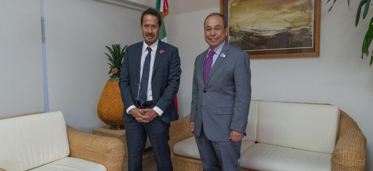 Luciernaga noticias | Se apuntan empresas...