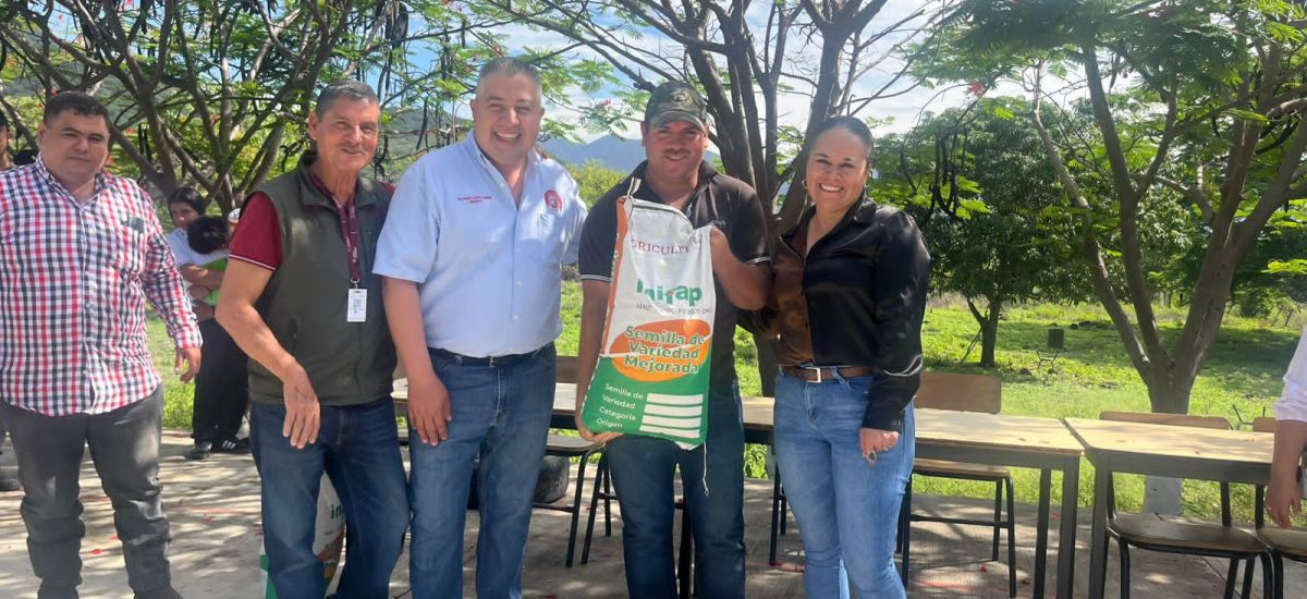 Luciernaga noticias | Michoacán distribuye...