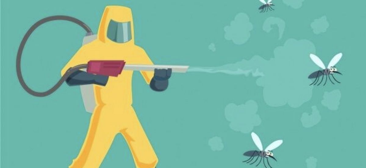 Dengue, la epidemia de la que no...