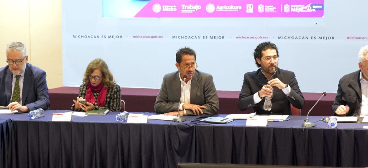 Luciernaga noticias | Certificación labora...