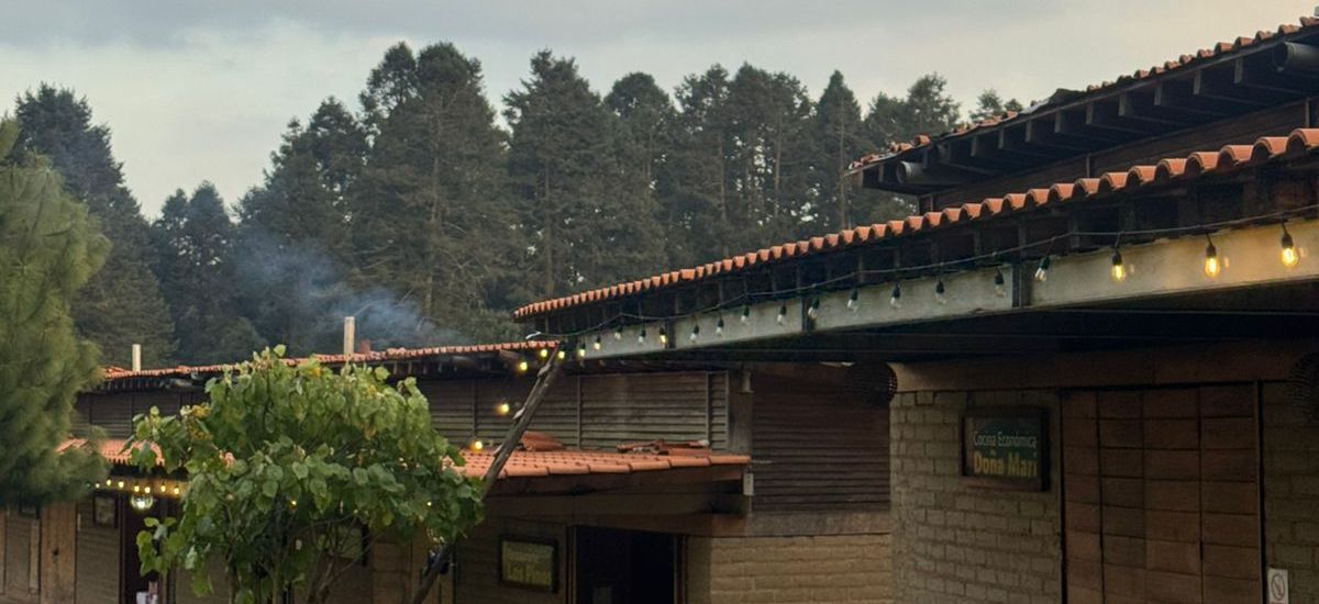 Luciernaga noticias | Sectur consolida inf...