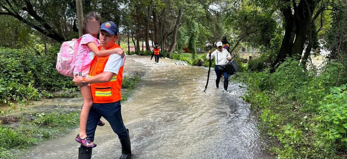 Luciernaga noticias | Michoacán abrirá cen...