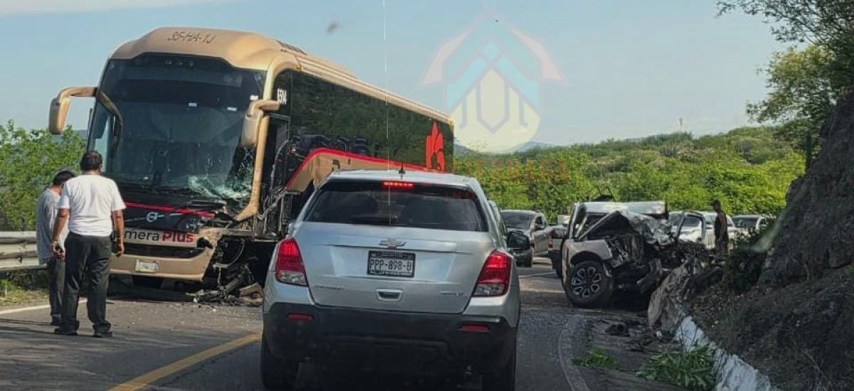 Luciernaga noticias | Autobús y camioneta...