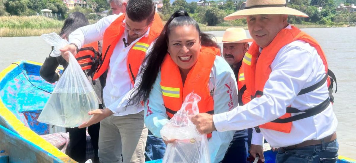 Luciernaga noticias | Gobierno de Michoacá...