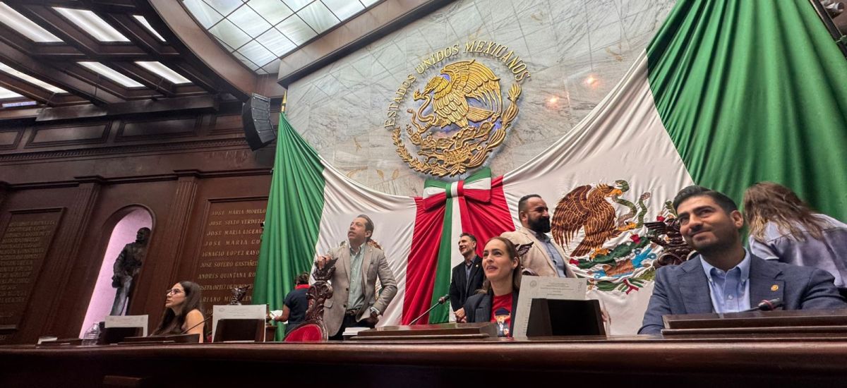 Luciernaga noticias | Reforma al artículo...