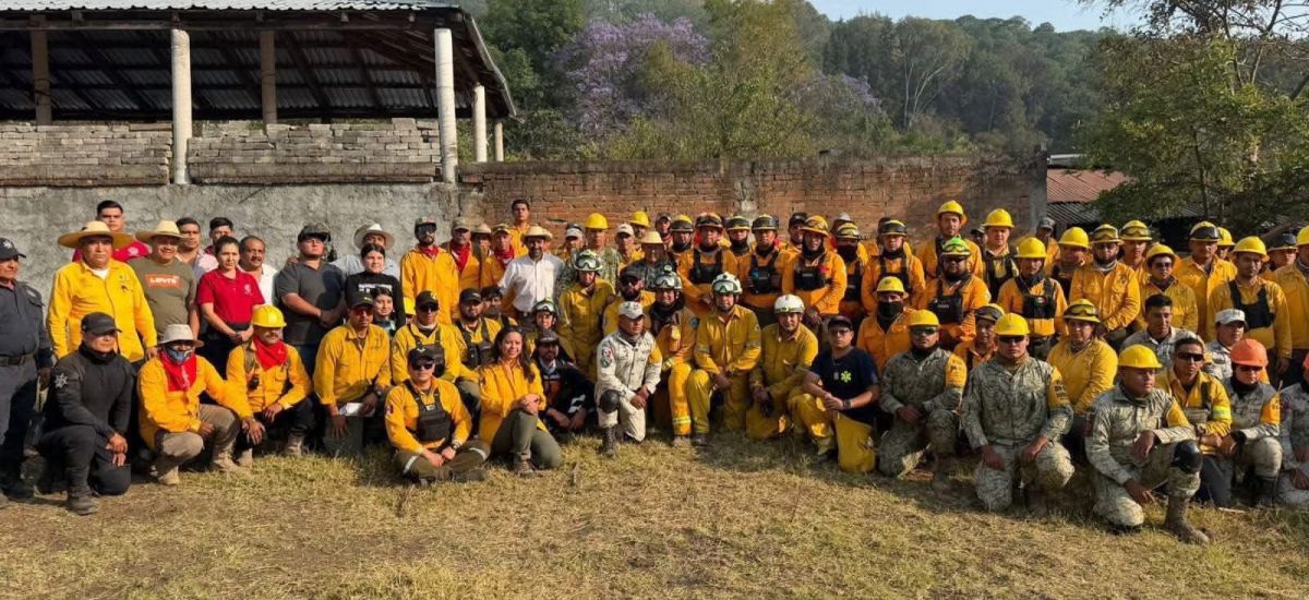 Luciernaga noticias | Incendio en Área Nat...