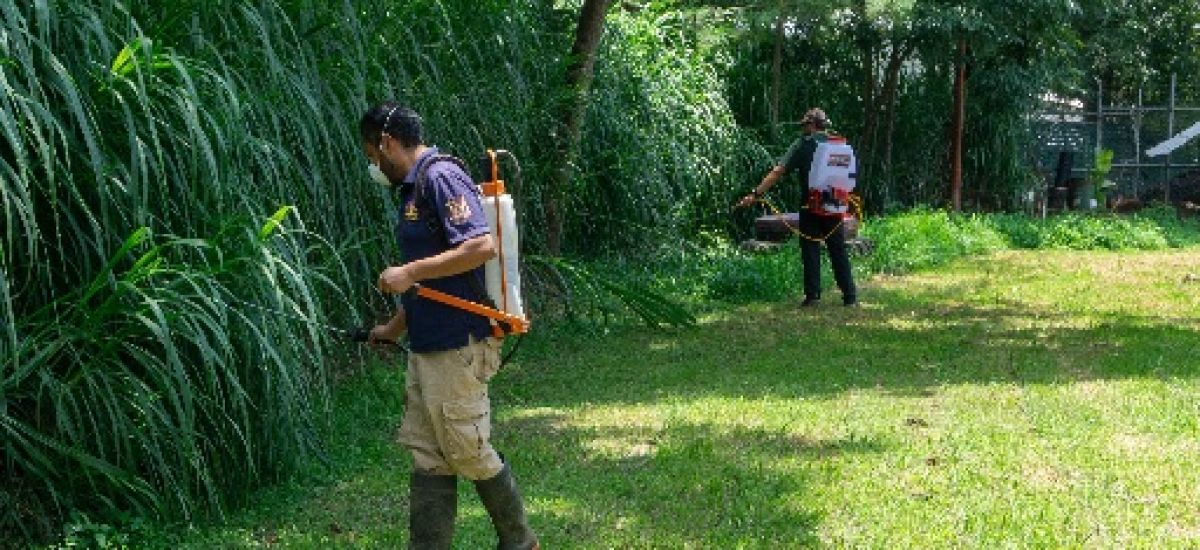 Luciernaga noticias | Zoo Morelia refuerza...