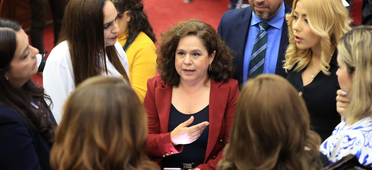 Luciernaga noticias | Desde el Congreso Me...