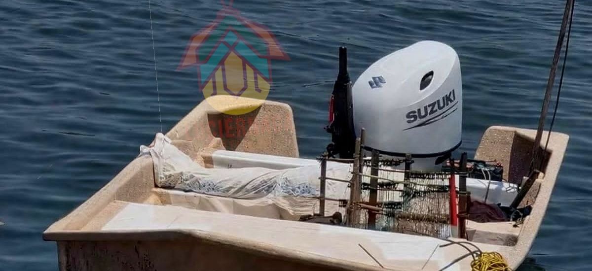 Luciernaga noticias | Turista es arr4strad...