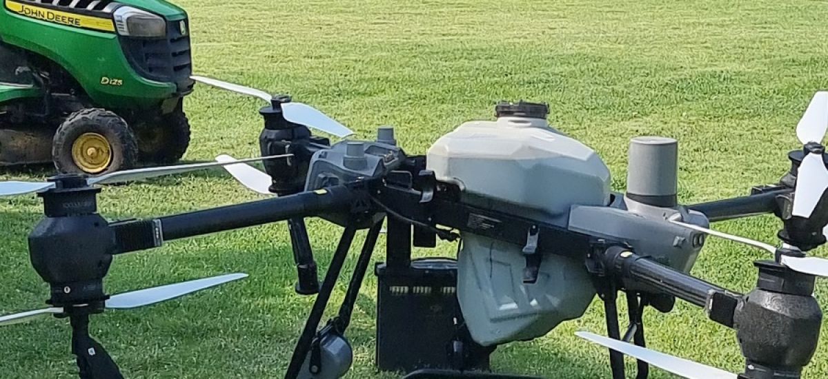 Luciernaga noticias | Pablo Varona inicia...