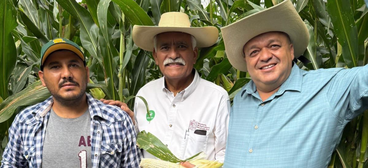 Luciernaga noticias | Casi 12 mil producto...