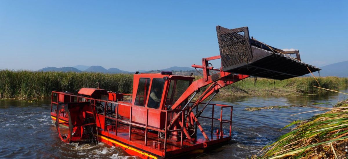 Luciernaga noticias | Inicia la rehabilita...