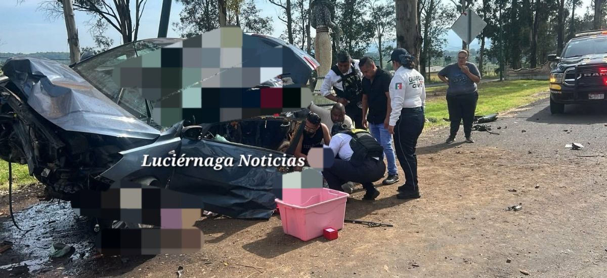 Luciernaga noticias | Dos @cc!dɛntes dejan...
