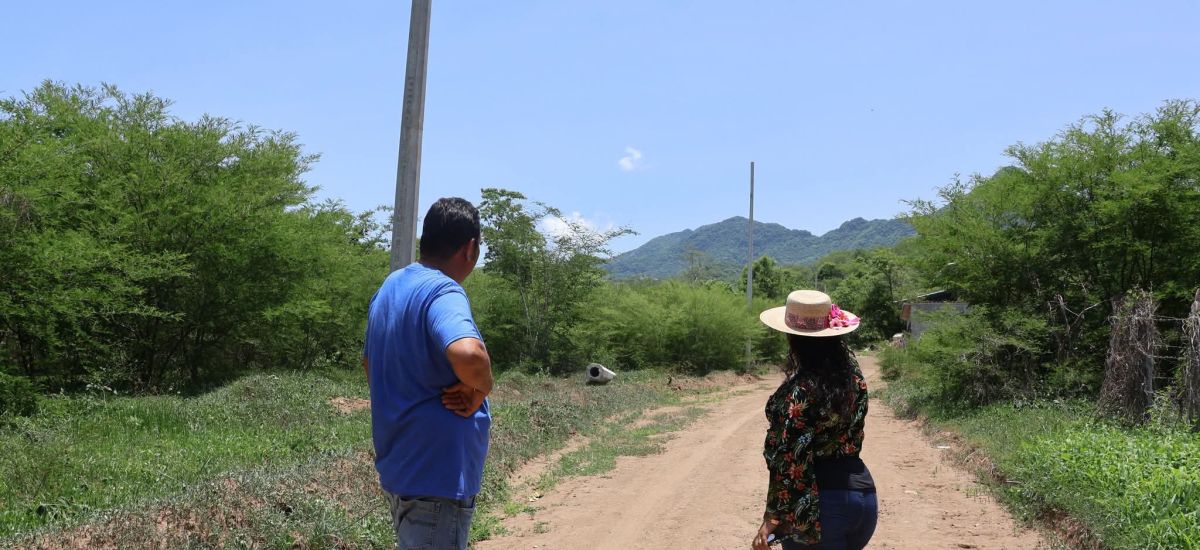 Luciernaga noticias | Energía que transfor...