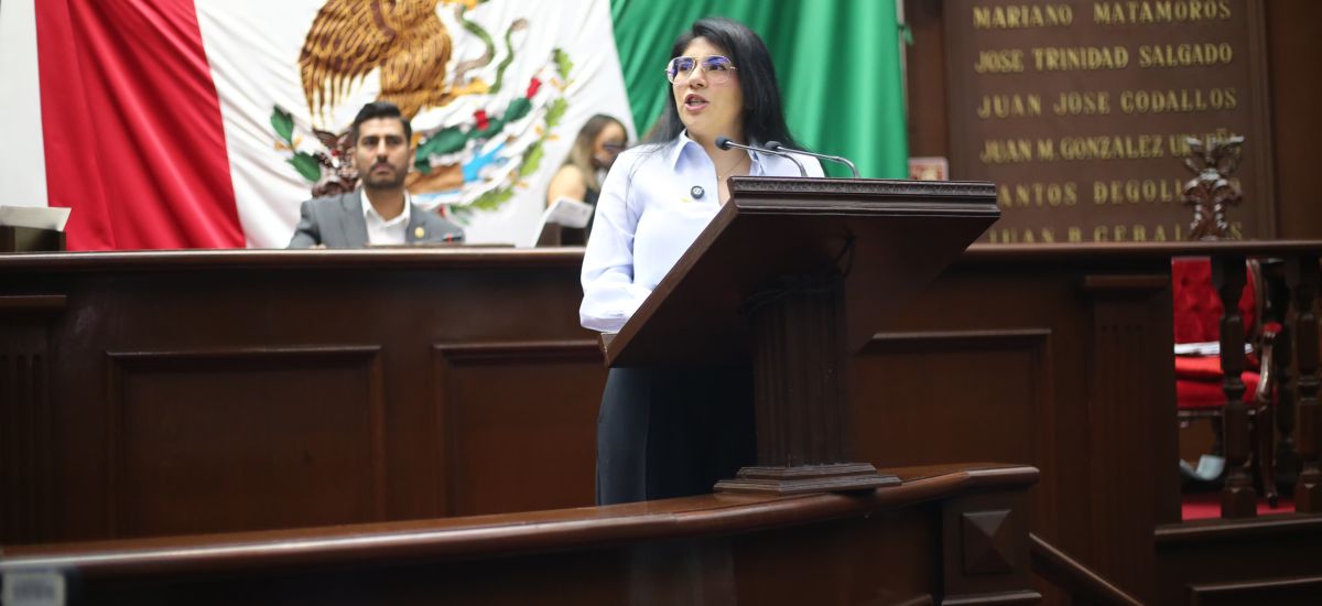 Luciernaga noticias | Vanhe Caratachea pre...