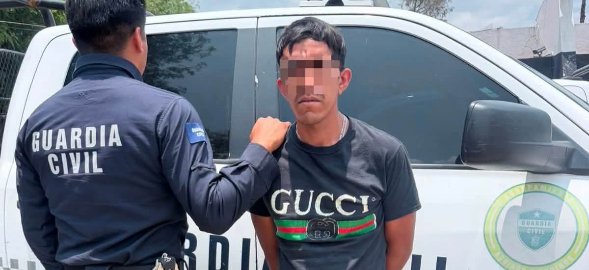 Luciernaga noticias | Guardia Civil asegur...