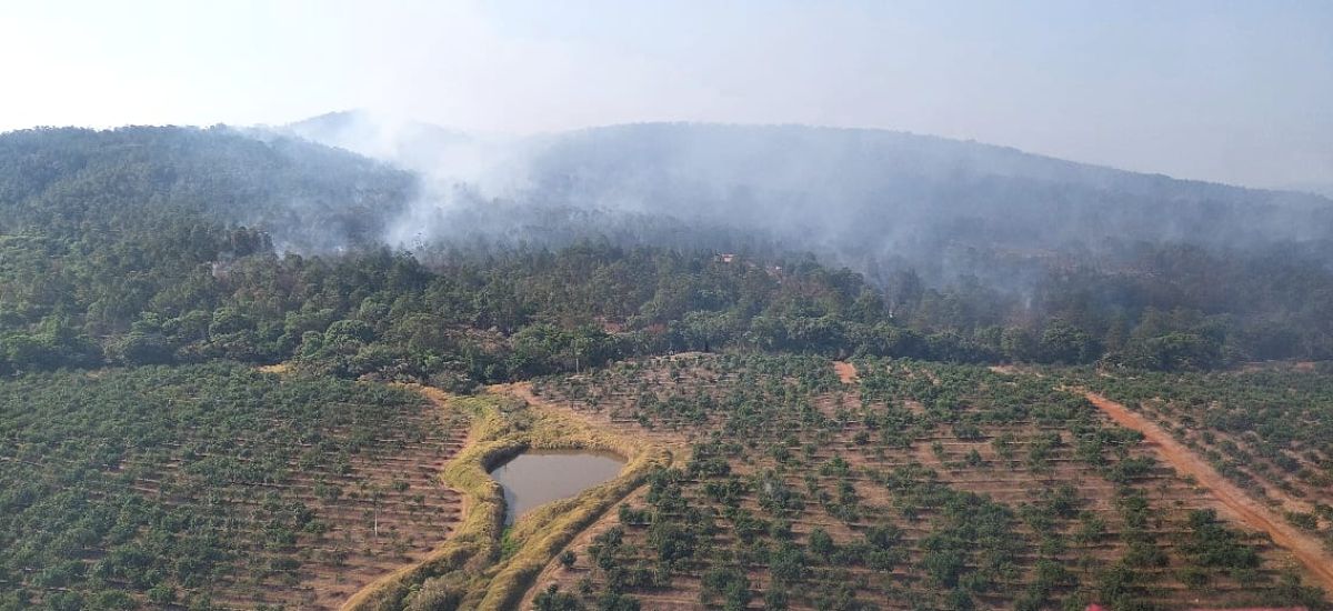 Controlado el incendio forestal en Ario; se...