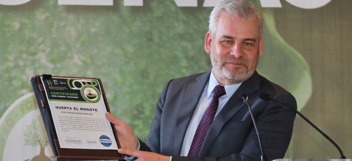Luciernaga noticias | El 67 % del aguacate...