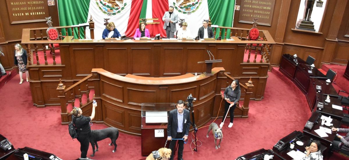 Congreso de Michoacán aprueba regulación para el...