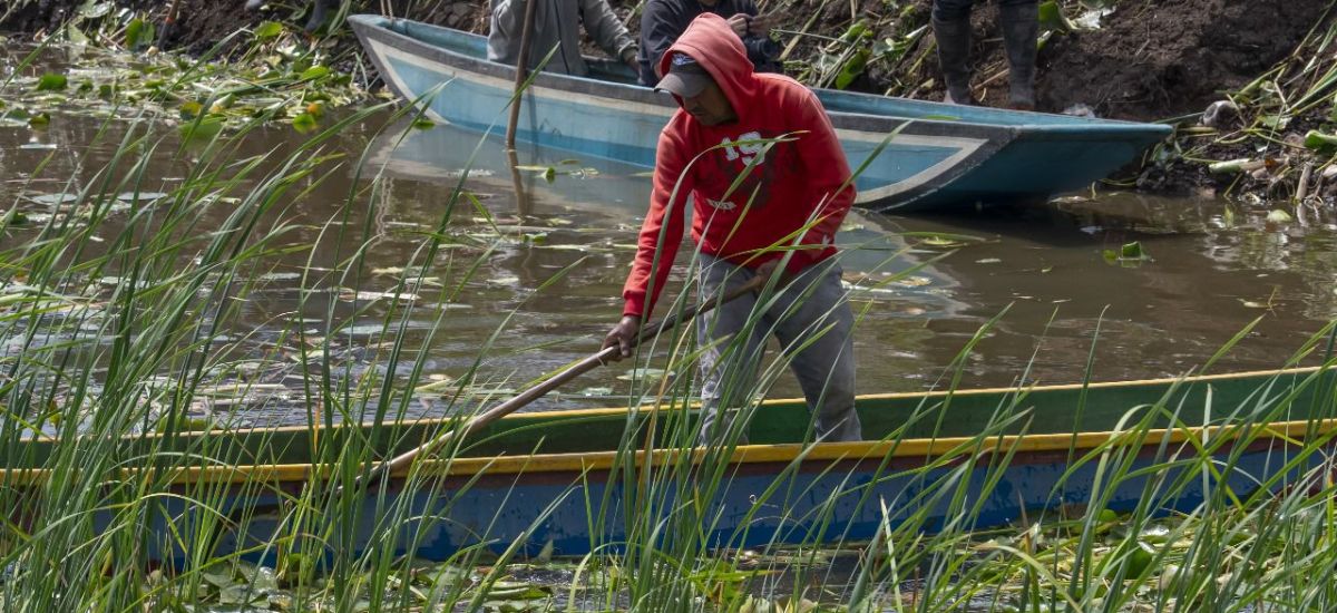 Luciernaga noticias | Trabajo michoacano i...