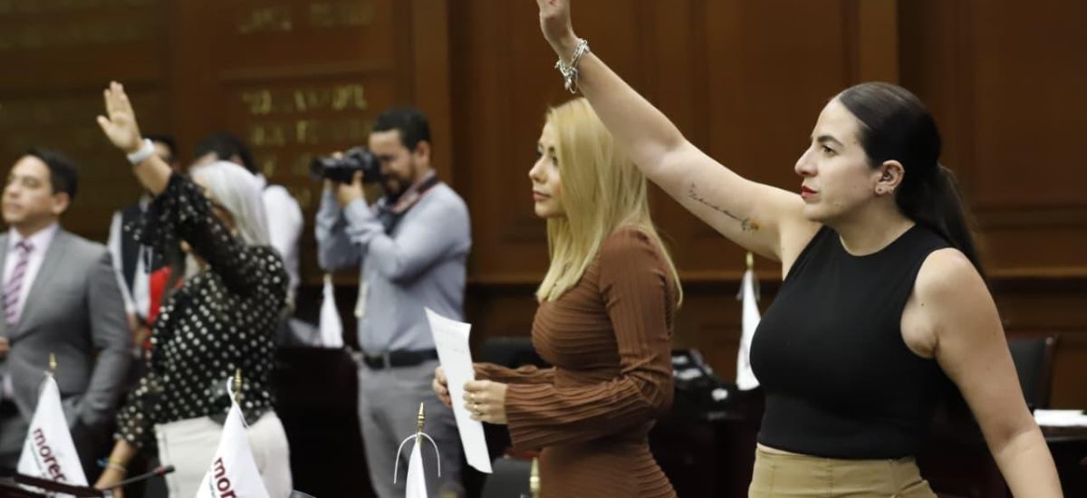 Luciernaga noticias | Nueva Ley de Protecc...