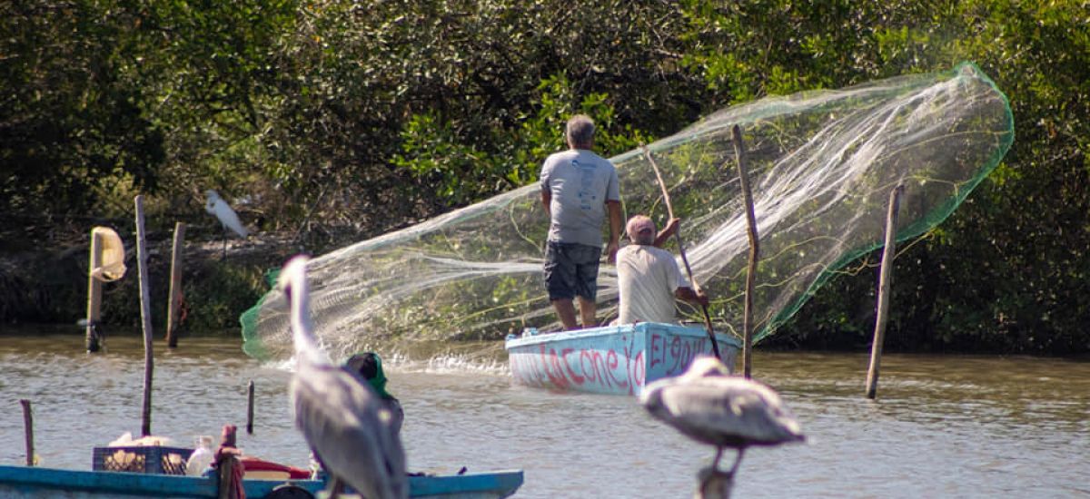 Se registran casi dos mil productores pesqueros...