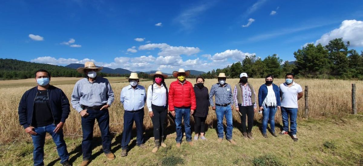 Técnicas agroecológicas en Erongarícuaro potencian cultivo de...