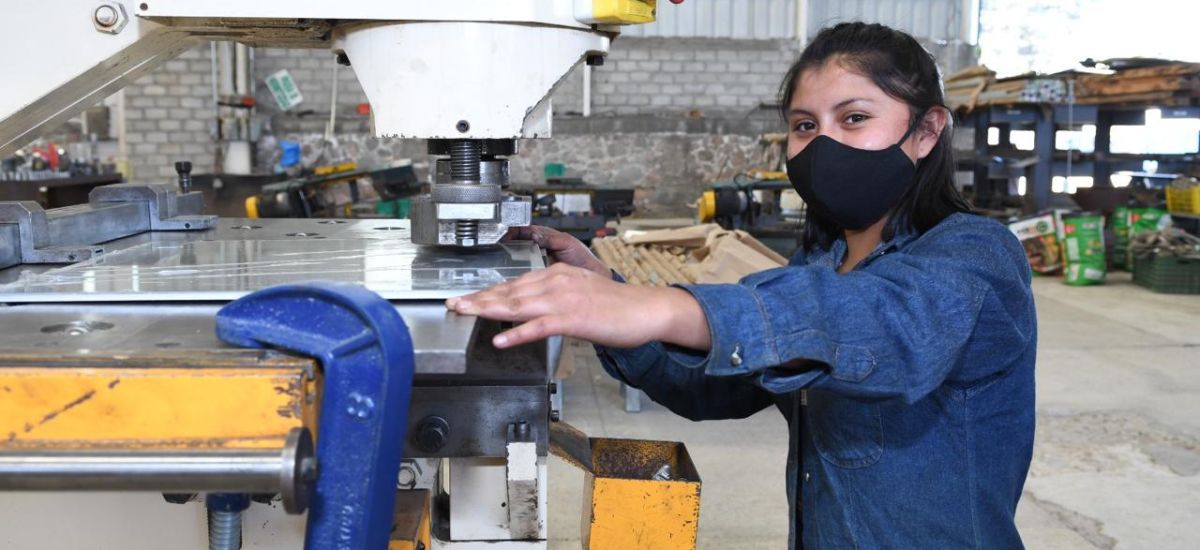 Luciernaga noticias | Esto es lo que debes...