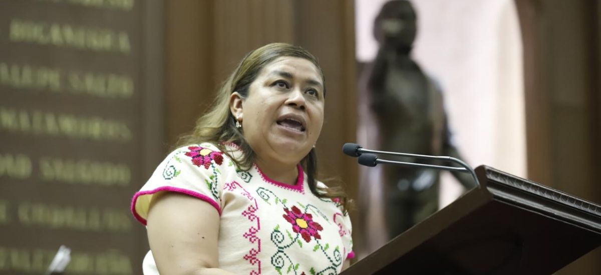 Luciernaga noticias | Desde el pleno, Beli...