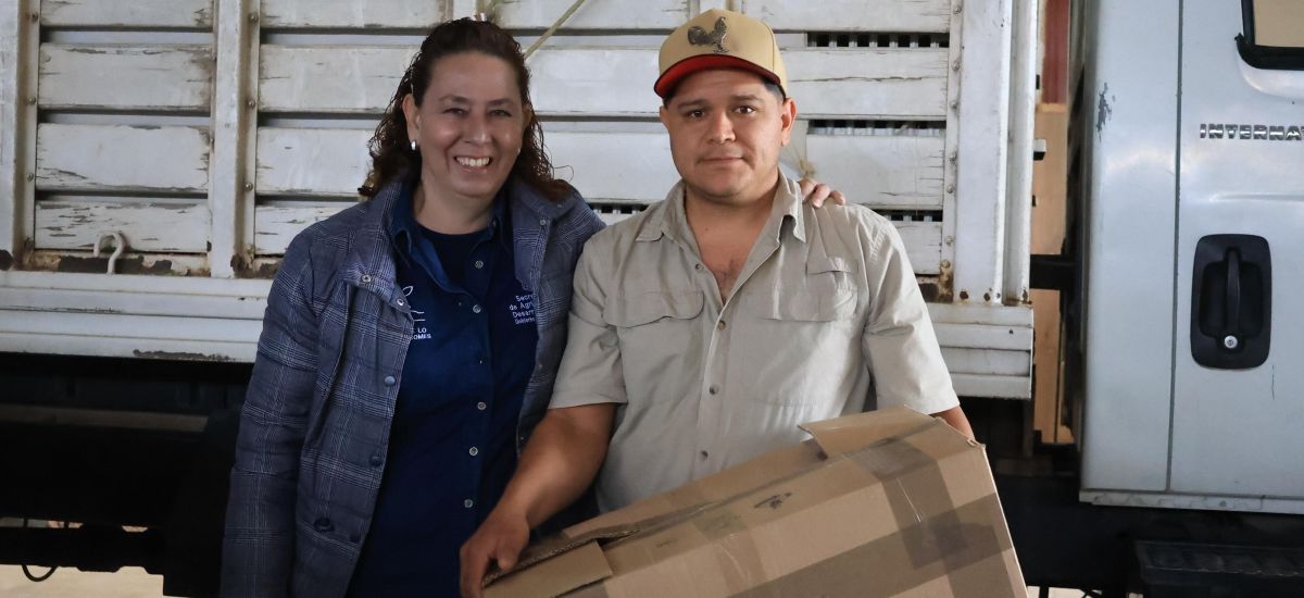 Luciernaga noticias | Municipios de Región...