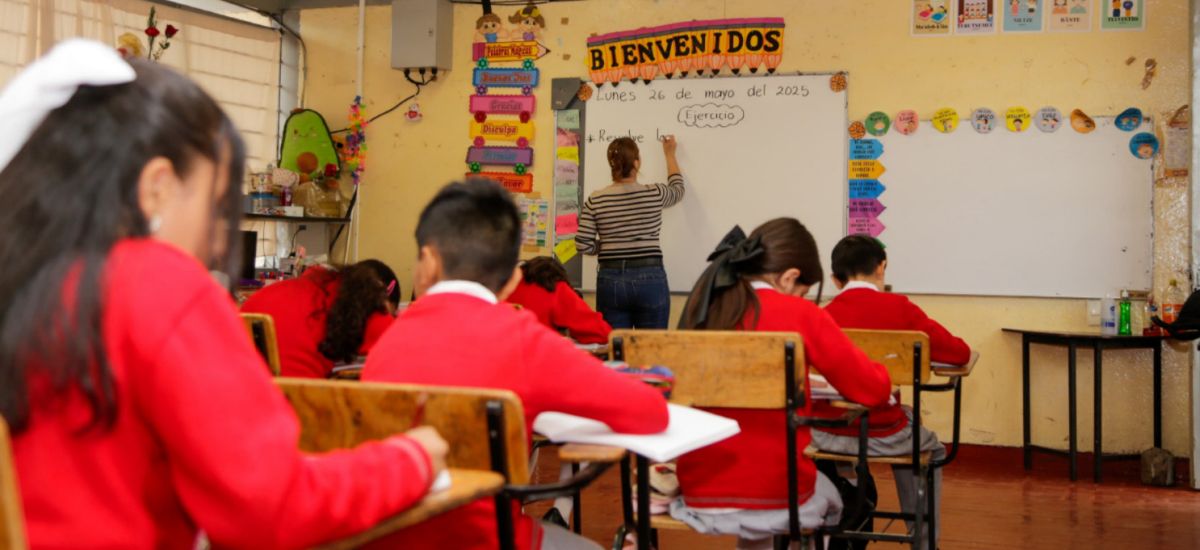 Luciernaga noticias | Reconoce SEE medidas...