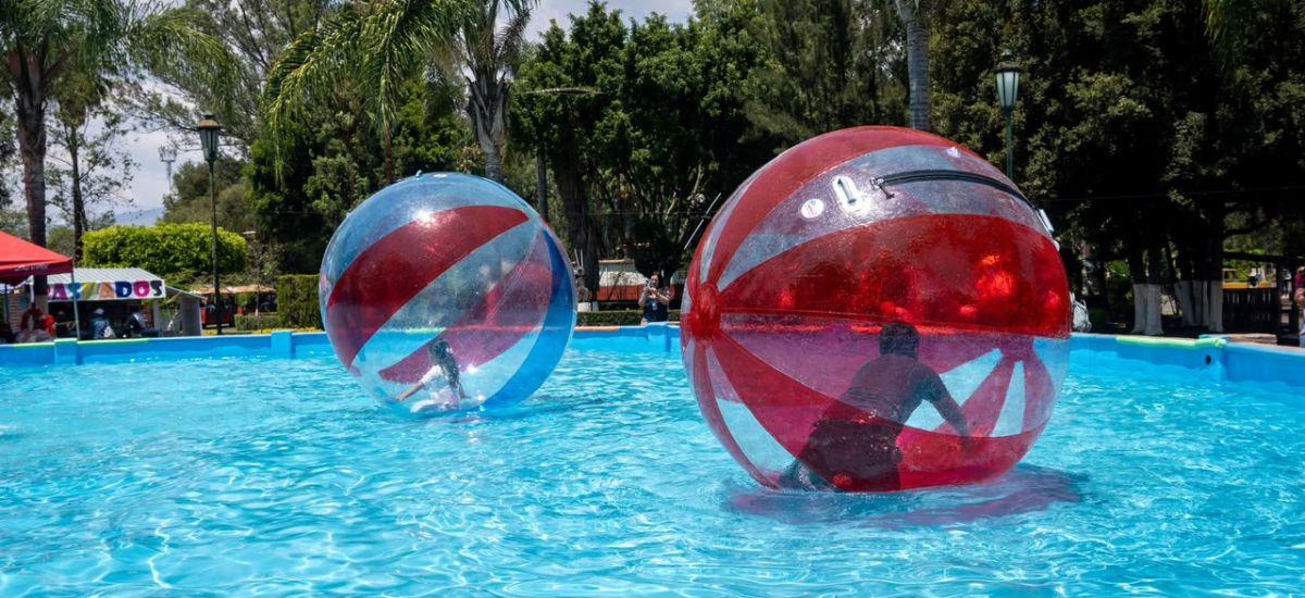 Luciernaga noticias | Verano divertido: bu...