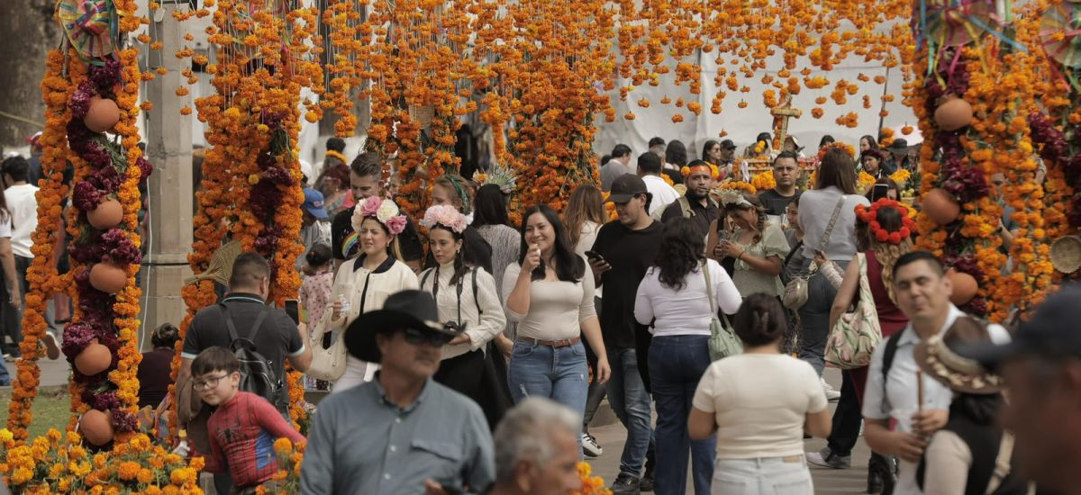 Luciernaga noticias | Desfiles, ferias y a...