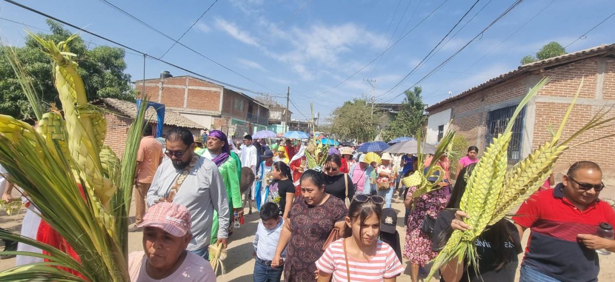 Luciernaga noticias | Domingo de Ramos en...