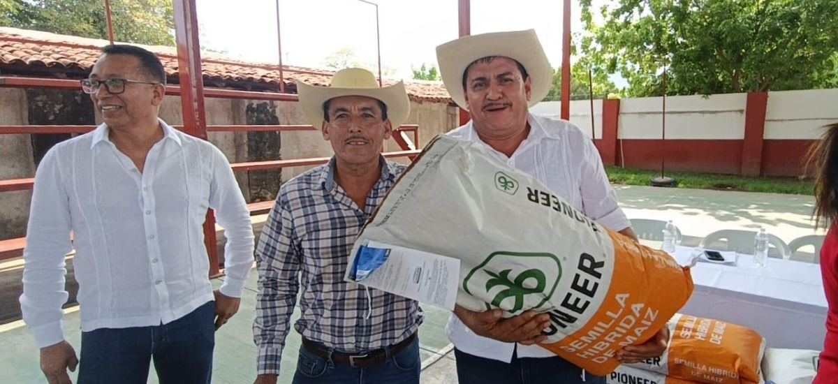 Luciernaga noticias | Impulsan al campo zi...