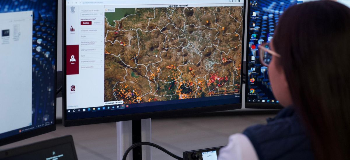 Luciernaga noticias | Reforma ambiental va...