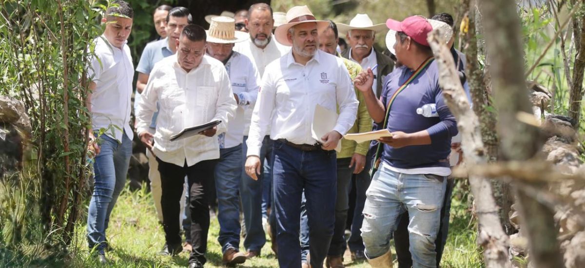 Luciernaga noticias | Recuperadas 500 hect...