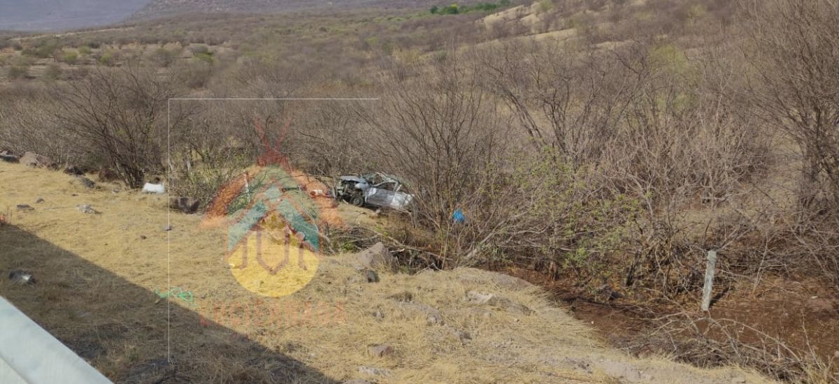 Luciernaga noticias | Tragedia en la pista...