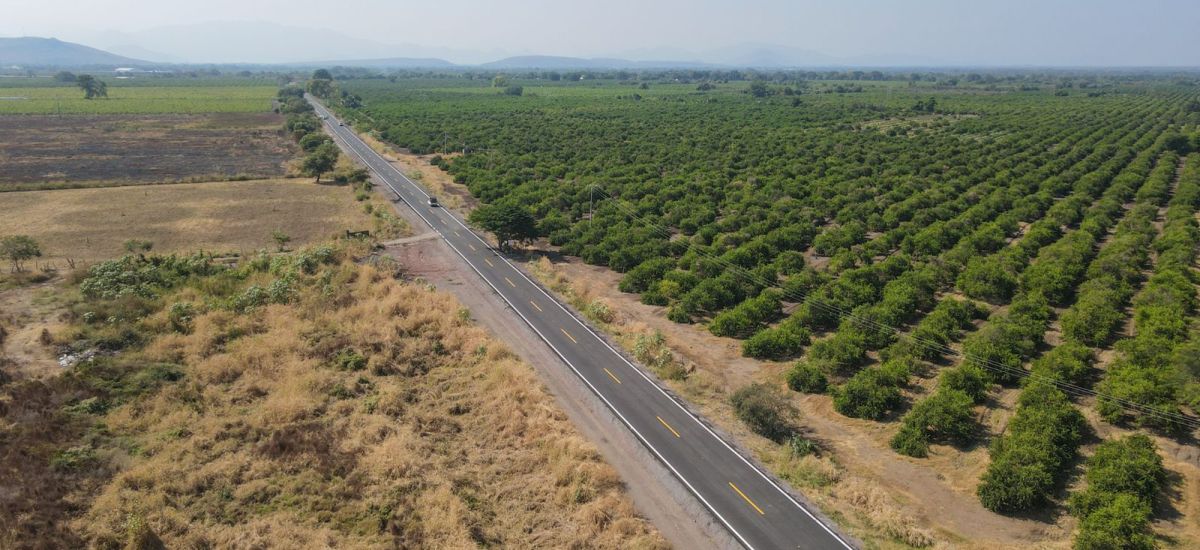 Luciernaga noticias | Aumentó 243 % invers...