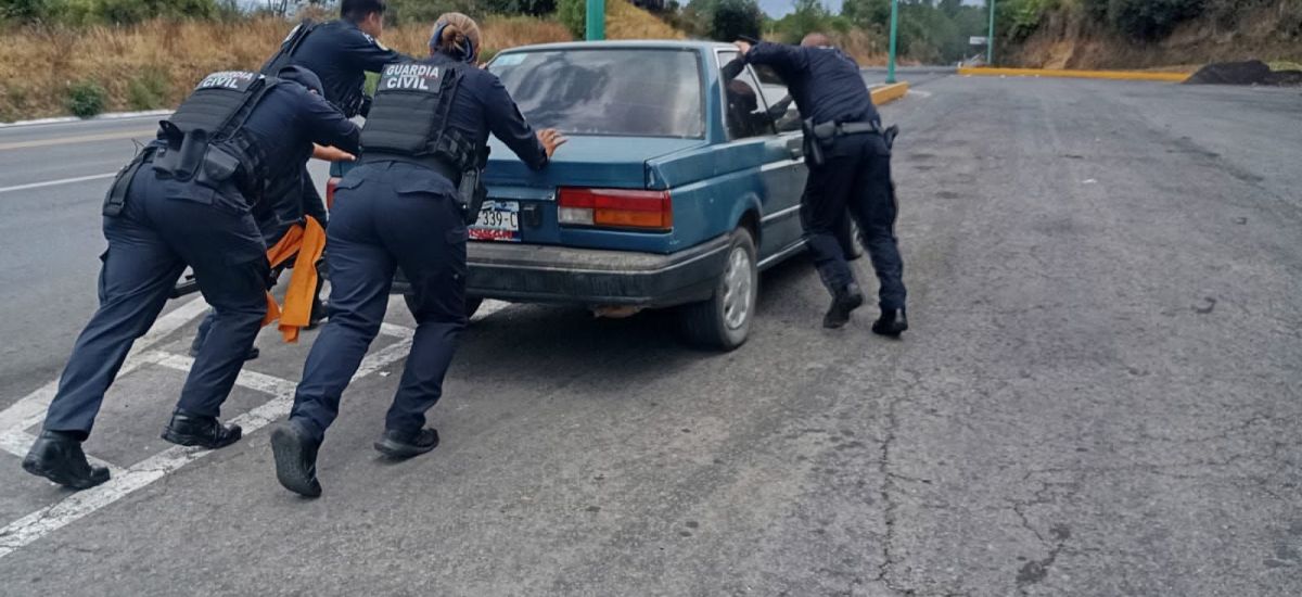 Luciernaga noticias | ¿Sales de vacaciones...