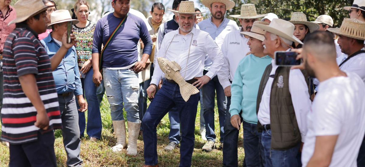 Luciernaga noticias | Para proteger al cam...
