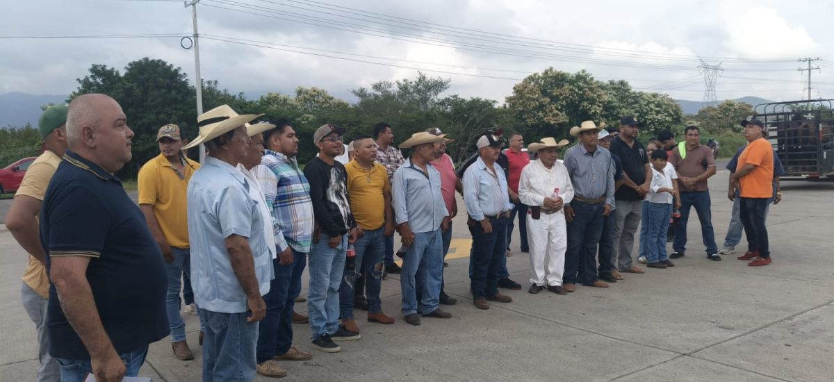 Luciernaga noticias | Pablo Varona da band...