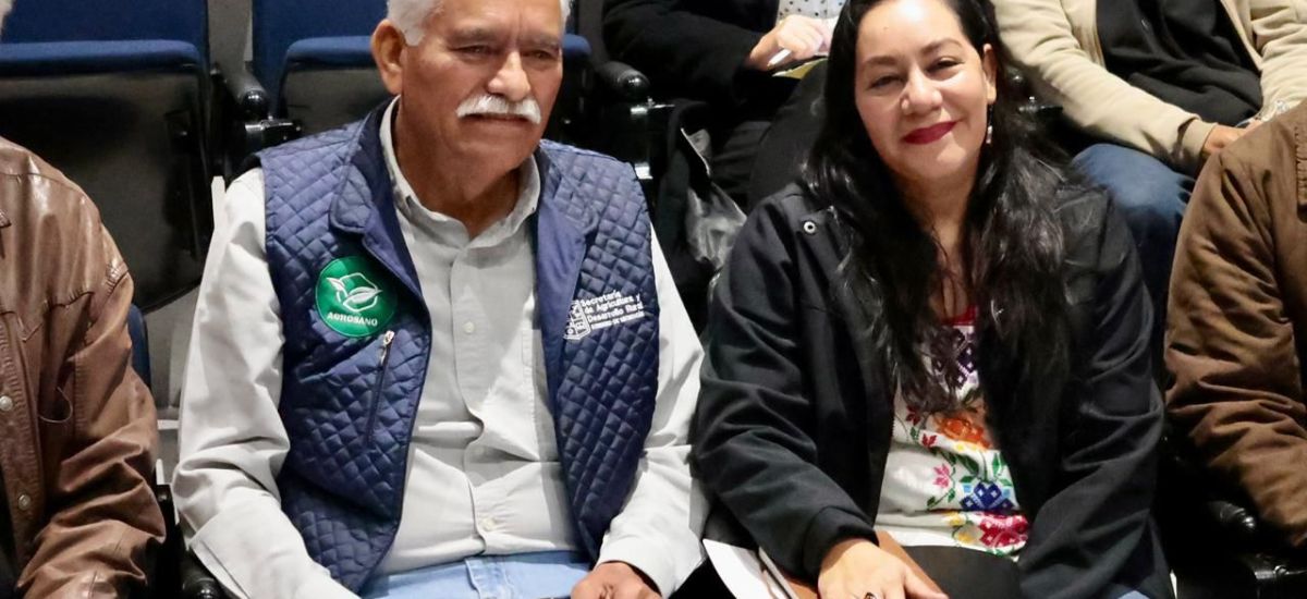 Luciernaga noticias | Arranca fase operati...