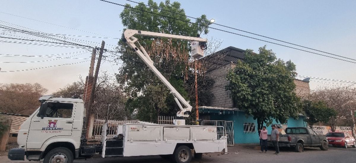 Luciernaga noticias | Cafecito del Viernes...