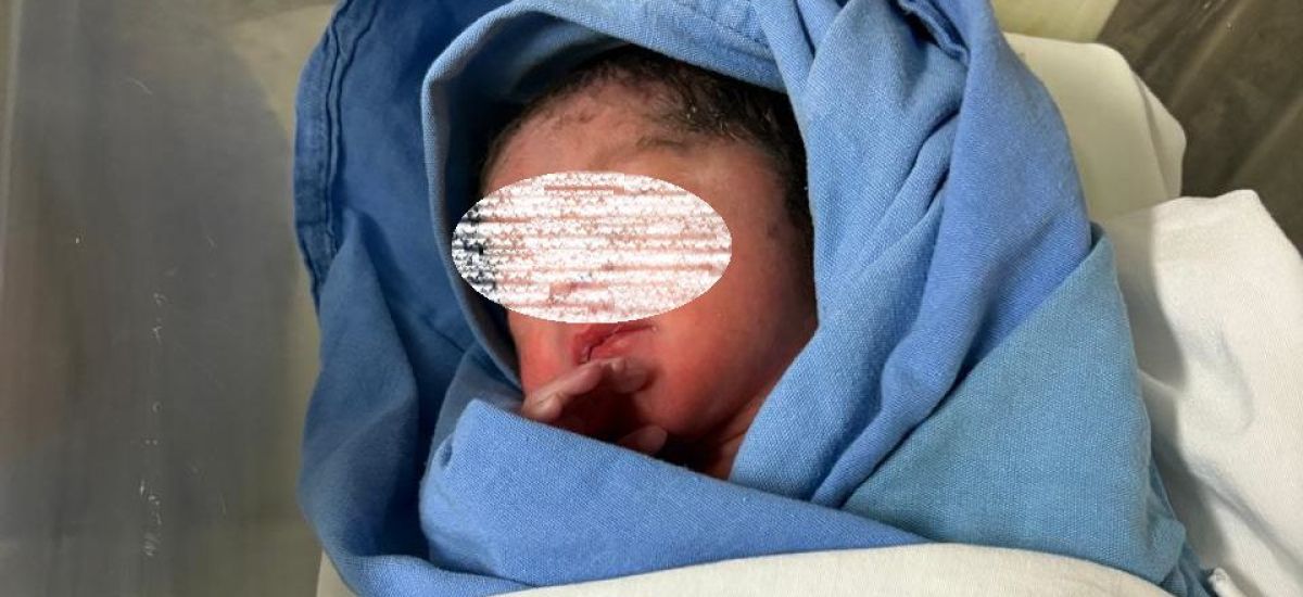 Luciernaga noticias | Atiende IMSS Michoac...