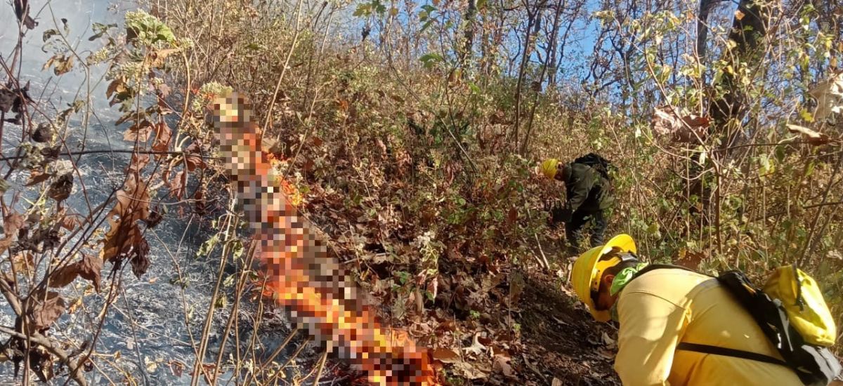 Atienden brigadas nuevo incendio forestal en cerro...