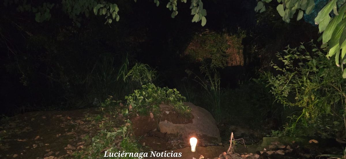 Luciernaga noticias | Cae joven de puente...