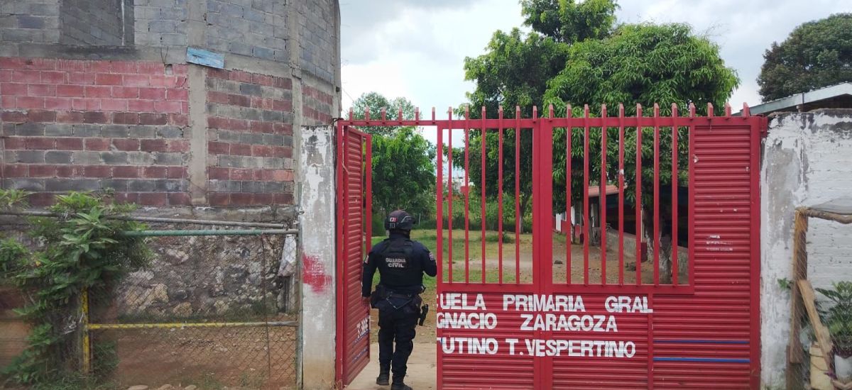 Luciernaga noticias | Descartada presencia...