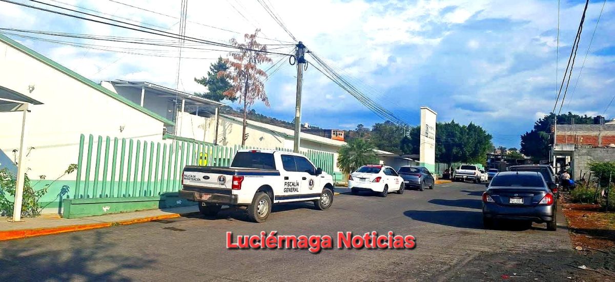 Luciernaga noticias | Mujer mver3 4trop3ll...